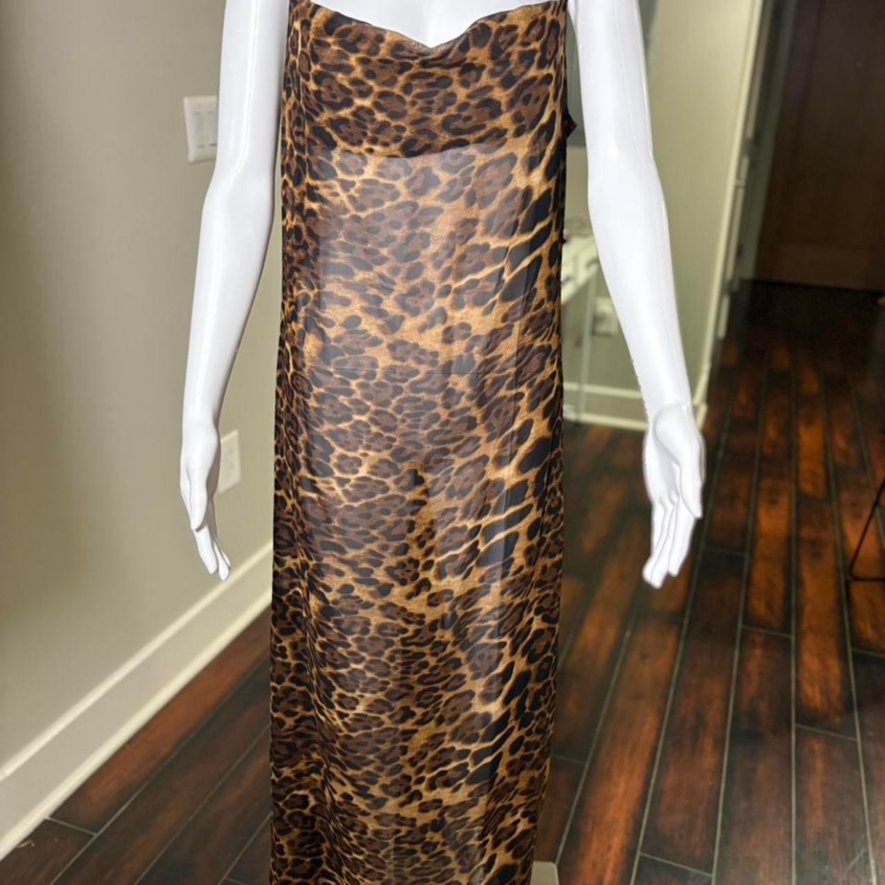 Animal Print Sheer Maxi Dress